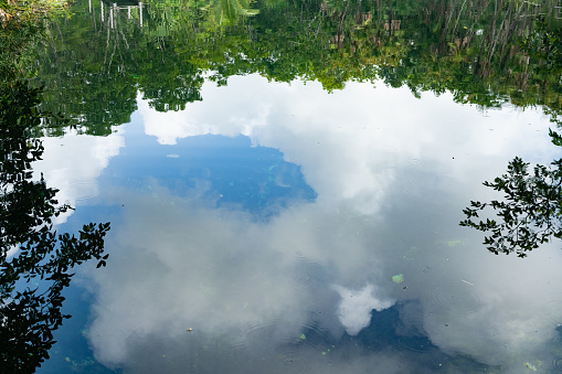 This is a photograph of the the reflection of clouds at Cenote Cristal in Quintana Roo, Mexico.