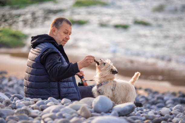 istock Man on the beach with a dog 1409347436