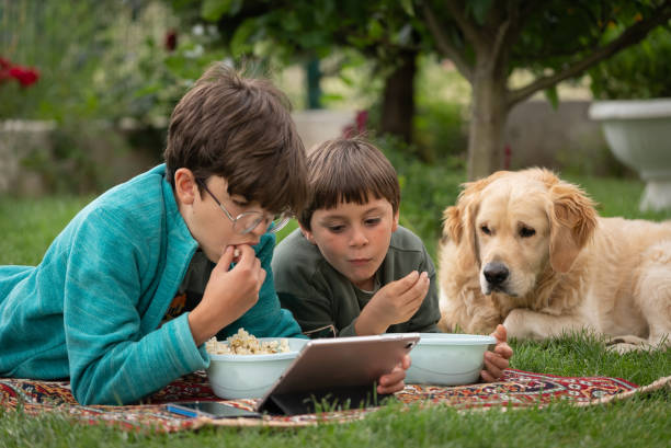 Two brothers watching a movie with their dog in the backyard stock photo