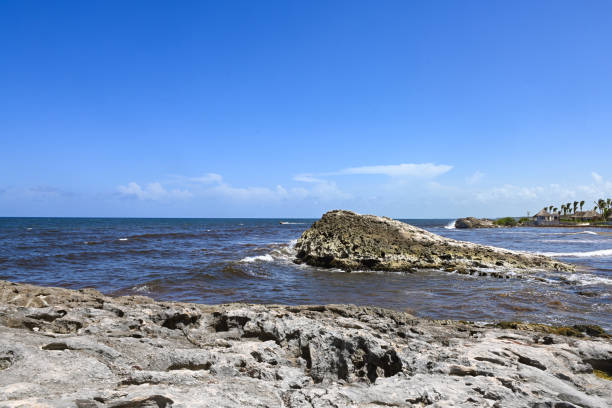 This is a photograph of the rocky shore by the sea in Tulum Beach, Mexico
