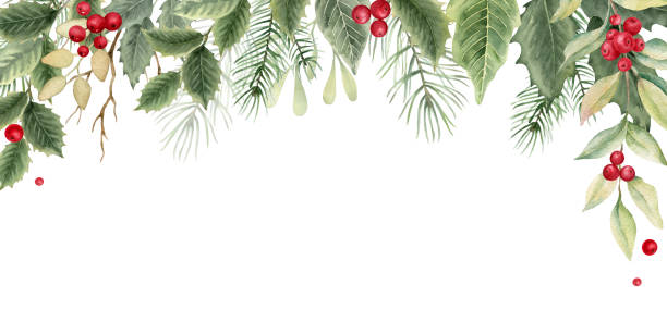 poinsettia, 홀리 열매, 잎이있는 크리스마스 꽃 테두리. - wreath christmas red bow stock illustrations