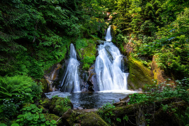 kaskadowe wodospady - black forest waterfall triberg landscape zdjęcia i obrazy z banku zdjęć