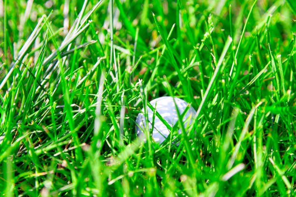 A white golf ball stuck in tall rough grass.