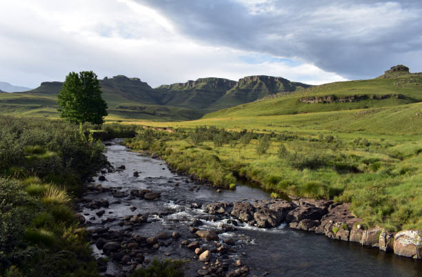 rivière traversant des prairies dans la chaîne de montagnes du drakensberg en afrique du sud - blom photos et images de collection