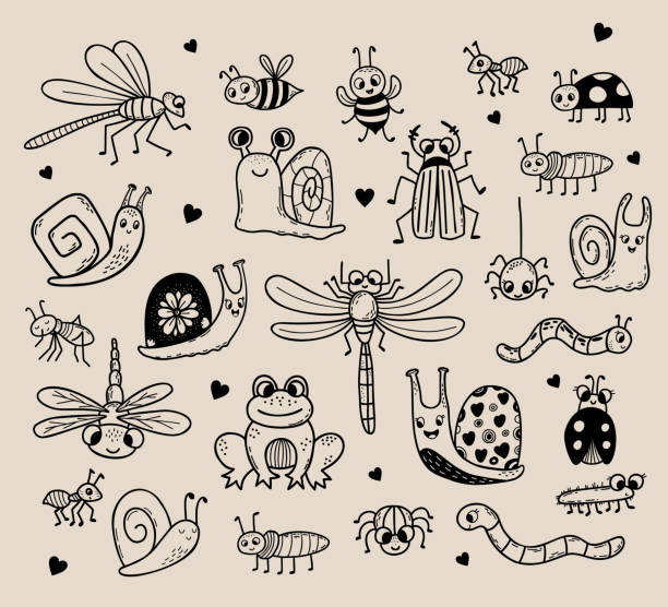 かわいい虫の落書きのベクターセット。線形手描き。デザイン、装飾、装飾、印刷のための面白い装飾的なキャラクターの昆虫、バグ、動物 - ladybug insect leaf beetle点のイラスト素材／クリップアート素材／マンガ素材��／アイコン素材