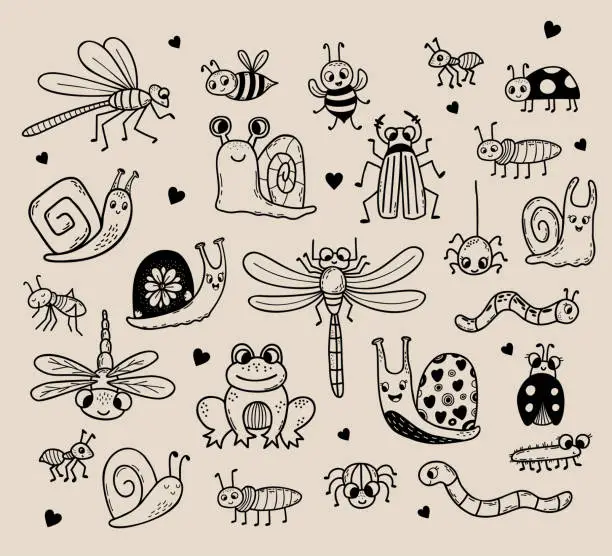 Vector illustration of Vector set of cute insect doodles. Linear hand drawing. Funny decorative characters insects, bugs and animals for design, decor, decoration and print