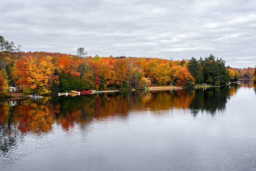 Wooden jetties with Adirondack chairs on them and canoes along the forested shore of a lake on a cloudy autumn day, Stunning fall foliage. Algonquin Park, ON, Canada.