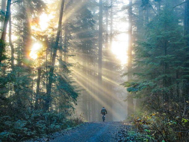 istock Early morning trail ride into  morning sunbeams. 1409362269