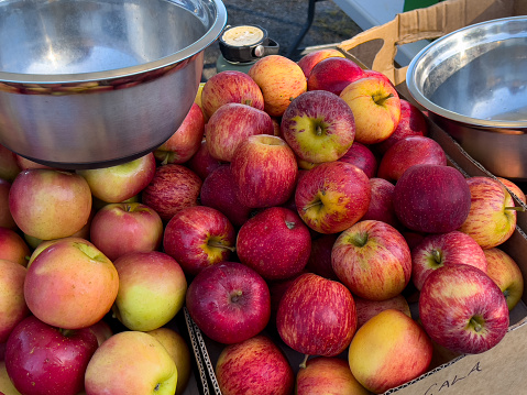 Horizontal closeup photo of a pile of freshly harvested red and yellow apples in cardboard boxes on a fruit stall at the Byron Bay weekly Farmer’s Market in Winter. Stainless steel bowls for collecting the apples are on the stand. Byron Bay, north coast NSW.