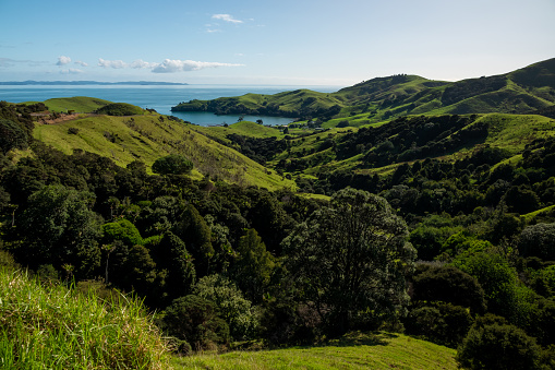 North Island New Zealand countryside near Coromandel.