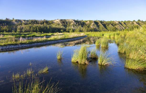 istock Bowmont Urban Park Northwest Calgary Alberta Canada 1409367539
