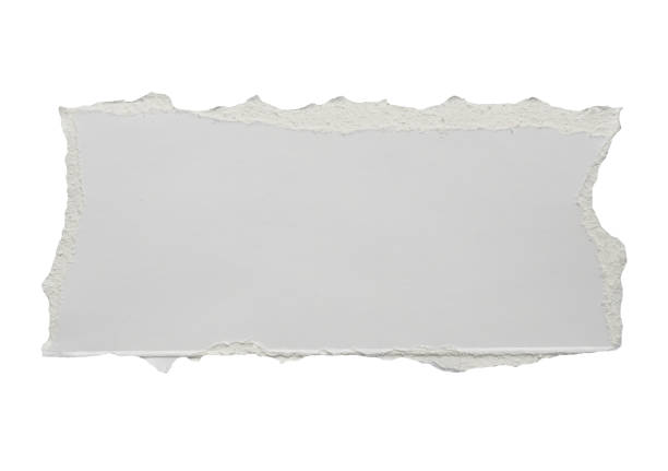 istock White ripped paper torn edges strips isolated on white background 1409374664