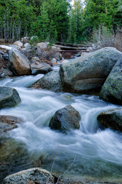 istock Mountain Creek Cascading Over Rocks 1409374679