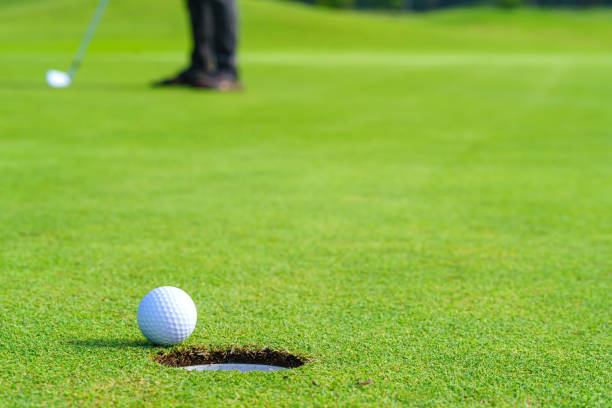 istock Golfer putt golf ball into hole on the green at golf course 1409375710