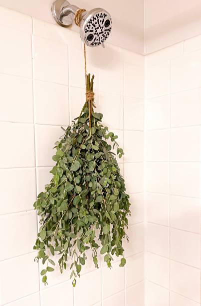 istock Eucalyptus hanging shower arrangement 1409382737
