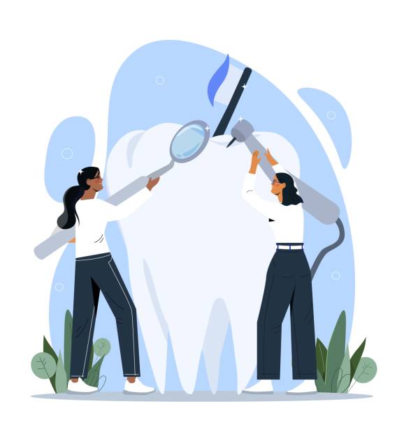 Dentists with tooth Dentists with tooth. Women treat patient, protection from caries. Beauty and oral hygiene, characters with dental treatment equipment. Medicine and healthcare concept. Cartoon flat vector illustration cute cartoon dental implants stock illustrations