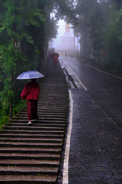 el camino a seguir a do drul chorten - sikkim fotografías e imágenes de stock