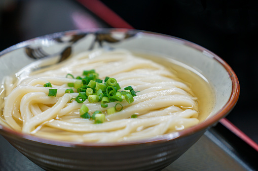 Cold Sanuki Udon Noodles