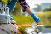 istock Hands of scientists collecting water samples for analysis and research on water quality. 1409412758