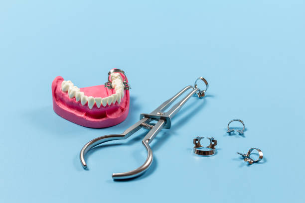 istock Layout of the human jaw with a rubber dam forceps 1409412793