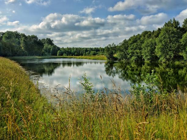 istock Pond near the forest 1409415177
