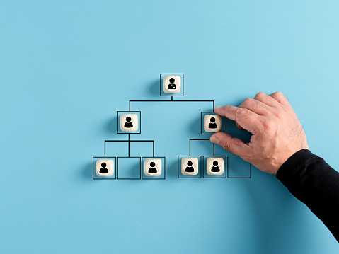 Male hand arranges company hierarchical organizational chart of wooden cubes on blue background. Human resources management and business concept
