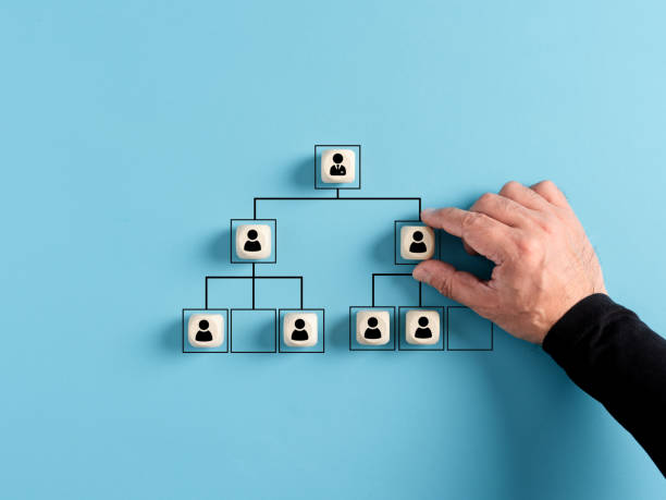 Male hand arranges company hierarchical organizational chart of wooden cubes on blue background. Male hand arranges company hierarchical organizational chart of wooden cubes on blue background. Human resources management and business concept organization chart stock pictures, royalty-free photos & images