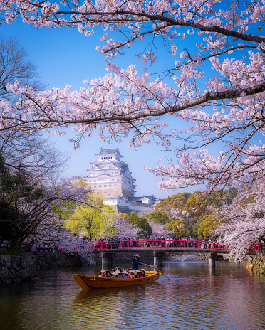 Hyogo.Japan-April 6,2019.a boat sails from the direction of Himeji Castle in spring.Cherry blossoms bloom between April and May.