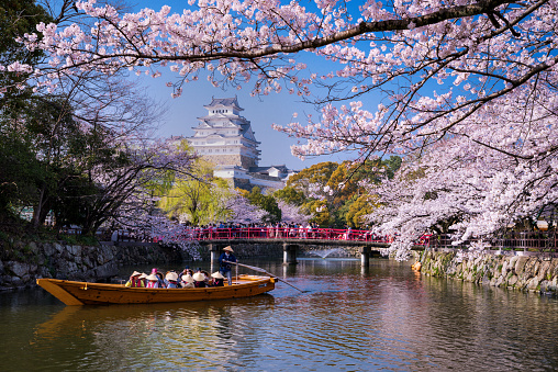 Hyogo.Japan-April 6,2019.a boat sails from the direction of Himeji Castle in spring.Cherry blossoms bloom between April and May.