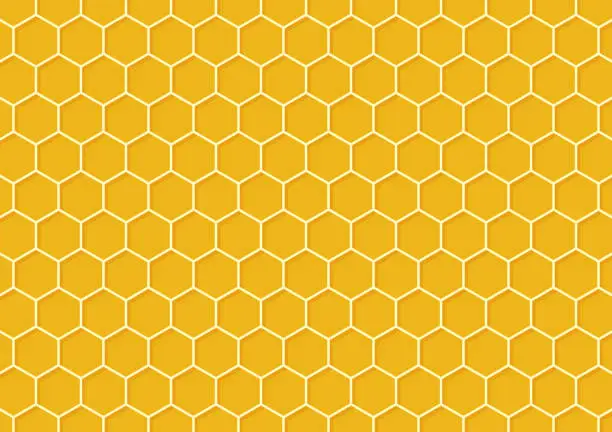 Vector illustration of Bee comb pattern vector. Bee comb pattern wallpaper. free space for text. copy space.