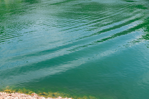 This is a color photograph of the water’s edge of the Colorado River in Zilker Park in Austin, Texas.