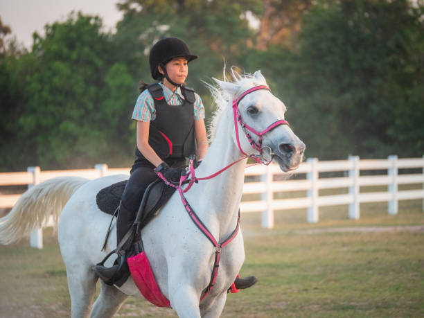 молодая азиатская девушка любит кататься на лошадях на ферме, дрессировка девочек верховой езде на ранчо - trail ride стоковые фото и изображения