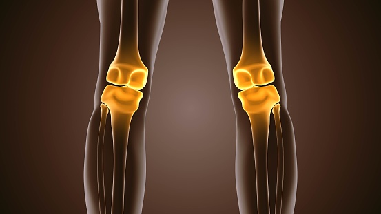 Medical concept of pain in the knee joint