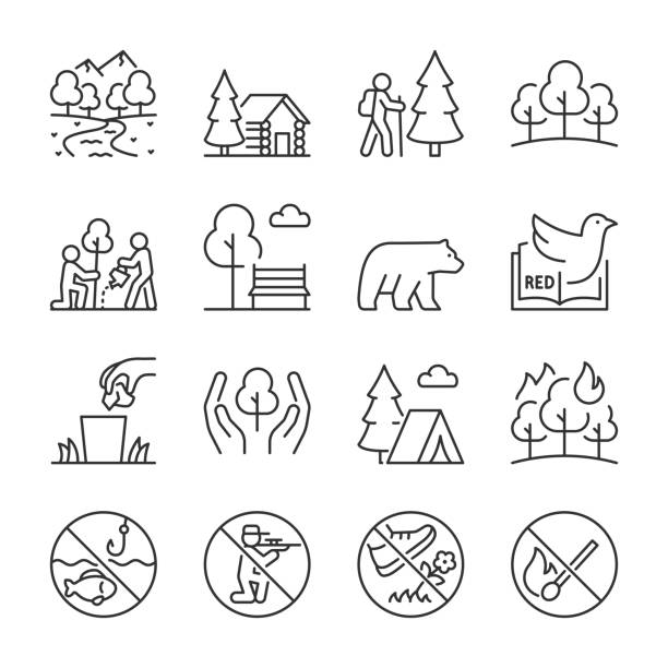 Nature reserve icons set. Nature park. Wildlife refuge, protected ecological area. Resting place with plants, mountains, animals, linear icon collection. Line with editable stroke Nature reserve icons set. Nature park. Wildlife refuge, protected ecological area. Resting place with plants, mountains, animals, linear icon. editable stroke ecological reserve stock illustrations