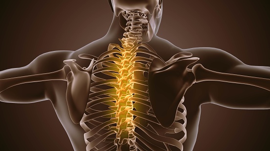 Medical background of painful back