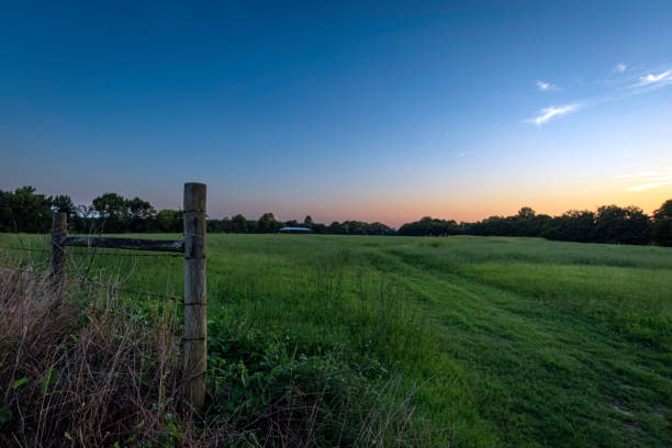 country landscape of green field at sunset - barbed wire rural scene wooden post fence imagens e fotografias de stock