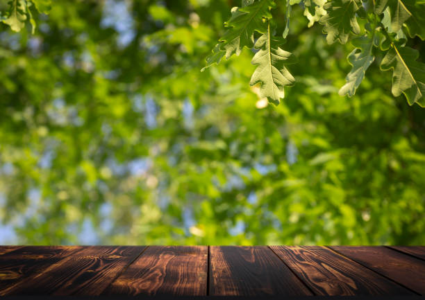 tło drewna stołowego w lesie. tło zamazanego zielonego lasu letniego ze światłem słonecznym - central focus zdjęcia i obrazy z banku zdjęć