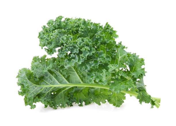 istock Kale leaf salad vegetable isolated on white background 1409428232
