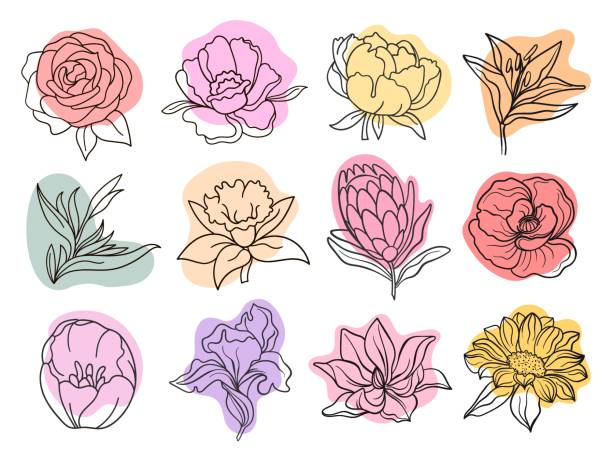 150+ Narcissus Flower Tattoos Illustrations, Royalty-Free Vector Graphics & Clip Art - iStock 150+ Narcissus Flower Tattoos Illustrations, Royalty-Free Vector Graphics & Clip Art - iStock