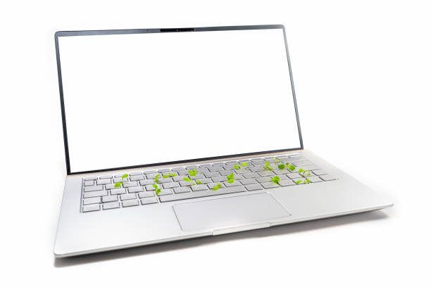 Laptop mock up with blank screen and small seedlings growing on the keyboard, concept for green business and eco-friendly economy, isolated on a white background, selected focus, narrow depth of field