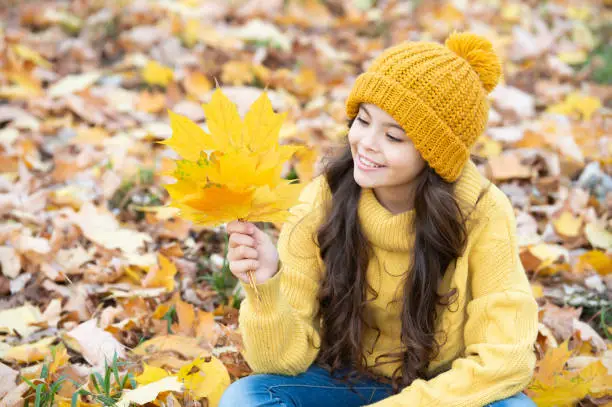 Photo of natural beauty. fall season fashion. portrait of teen girl in hat hold autumn leaf.