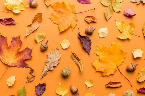 istock Autumn composition. Pattern made of dried leaves and other design accessories on table. Flat lay, top view 1409433517