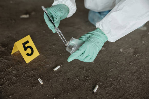 istock Gloved hands criminological expert putting cigarette stubs into plastic packet 1409436564