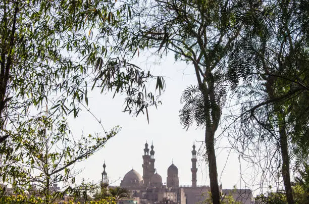 Photo of View of Old Cairo from al-Azhar Park