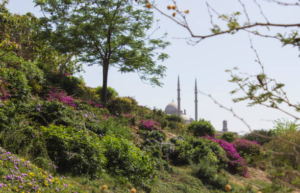 istock View of Muhammad Ali Mosque from al-Azhar Park 1409439349