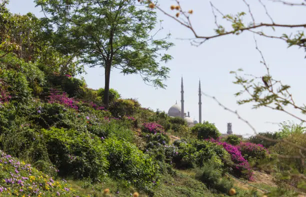 Photo of View of Muhammad Ali Mosque from al-Azhar Park
