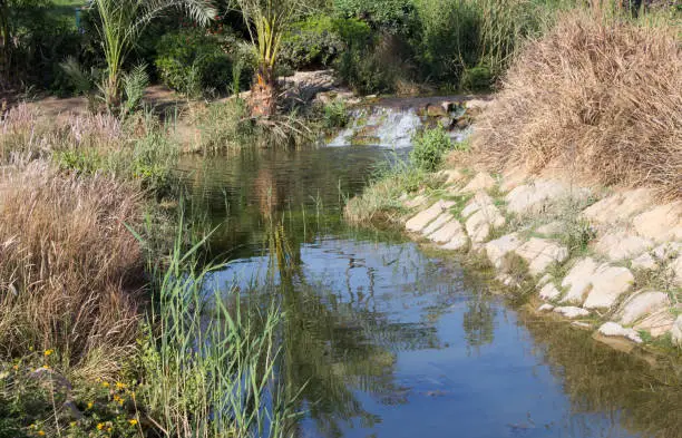 Photo of al-Azhar Park  landscape with a pond