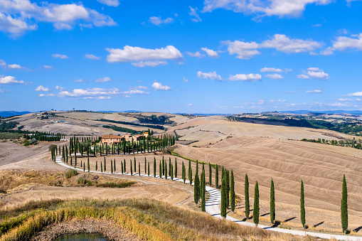 Crete Senesi in the province of Siena, a territory characterized by barren and gently undulating hills with solitary oaks and cypresses