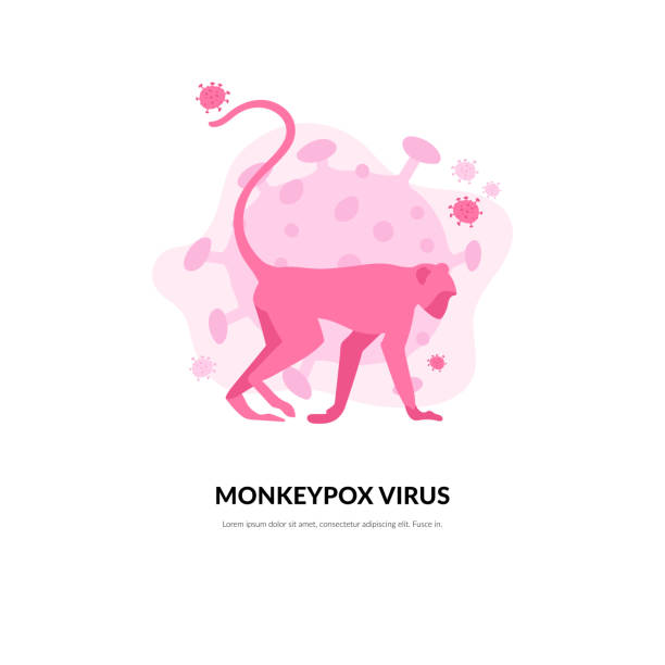 istock Monkeypox outbreak. A monkey is a carrier of the smallpox virus that spreads to humans. Hand drawn vector illustration. 1409441273