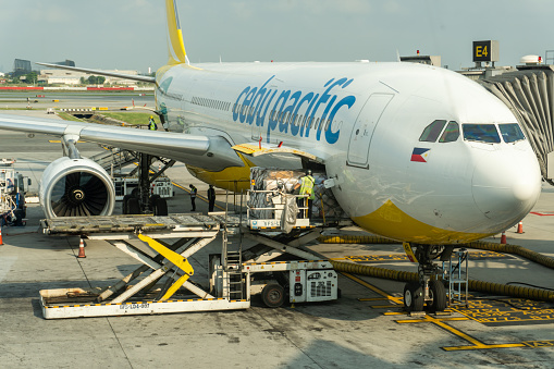 Cebu Pacific aircraft being loaded with cargo at the Bangkok Airport. People can be seen around the plane.